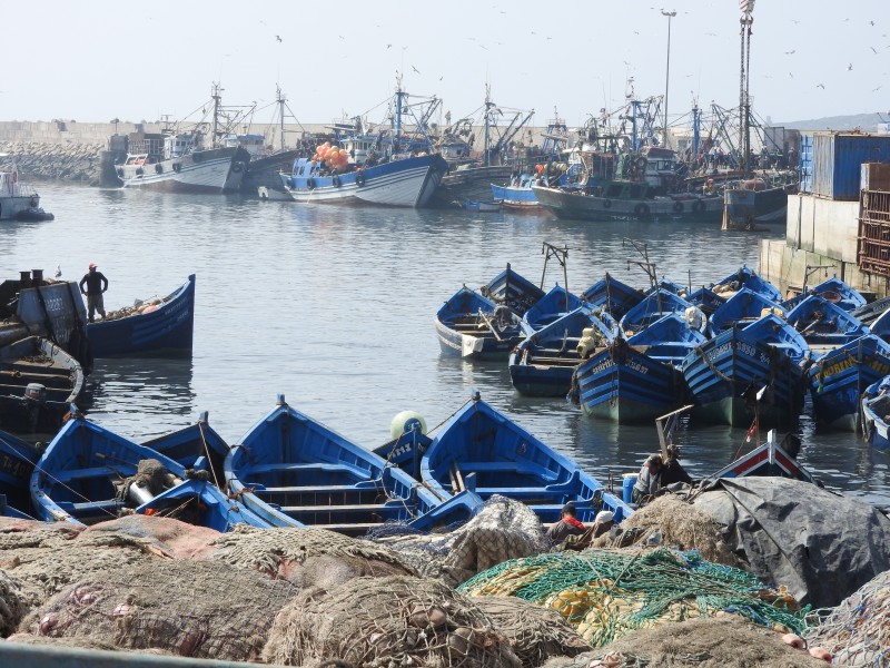 51 Escursione Ad Essaouira